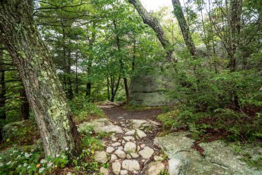 Göl Minnewaska