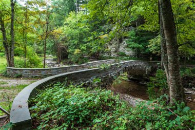 Robert H. Treman Eyalet Parkı: Gorge Patikası
