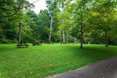 Robert H. Treman Eyalet Parkı: Gorge Patikası