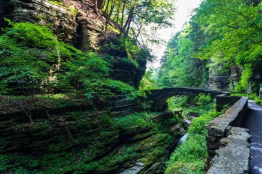 Robert H. Treman Eyalet Parkı: Gorge Patikası