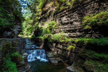 Robert H. Treman Eyalet Parkı: Gorge Patikası