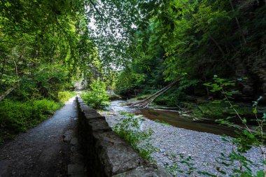 Robert H. Treman Eyalet Parkı: Gorge Patikası