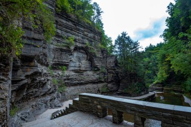 Robert H. Treman Eyalet Parkı: Gorge Patikası