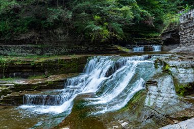 Robert H. Treman Eyalet Parkı: Gorge Patikası