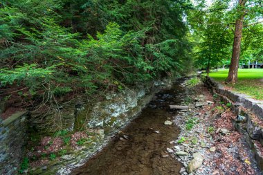 Robert H. Treman Eyalet Parkı: Gorge Patikası