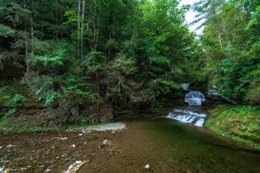 Robert H. Treman Eyalet Parkı: Enfield Falls