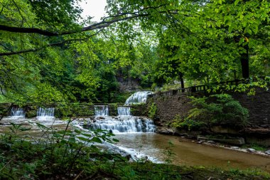Robert H. Treman Eyalet Parkı: Lower Fals