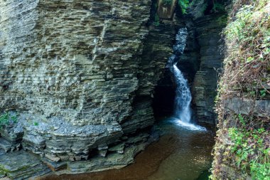 Watkins glen Devlet Parkı