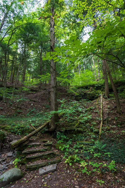 Robert H. Treman State Park: Trail de la garganta —  Fotos de Stock