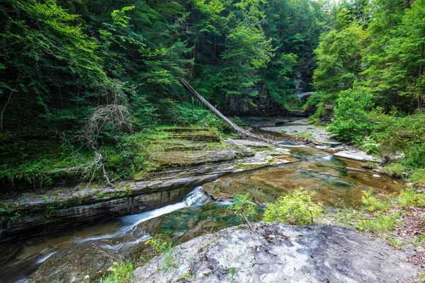 Robert H. Treman State Park: Gorge Trail — Stockfoto