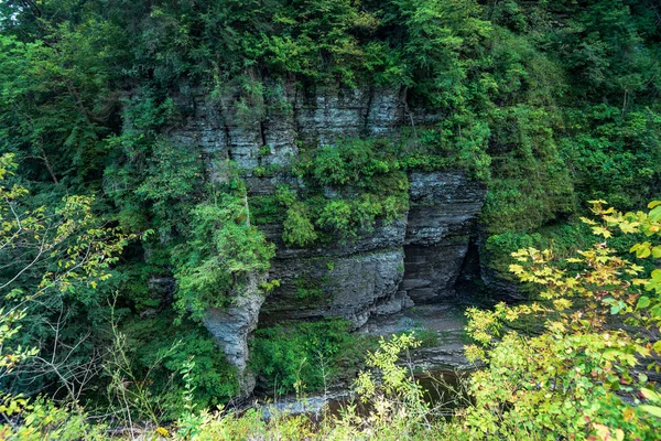 Robert H. Treman State Park: Gorge Trail — Stock Photo, Image