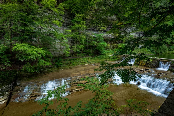 Robert H. Treman State Park: Lägre Fals — Stockfoto