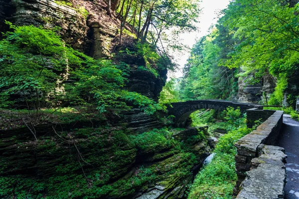 Robert H. Treman State Park: Gorge Trail Stock Photo