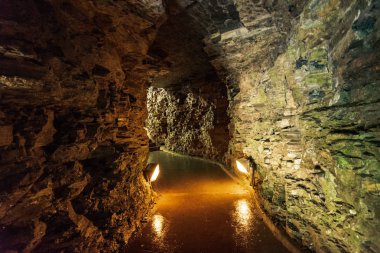 Watkins glen Devlet Parkı