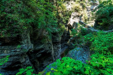 Watkins glen Devlet Parkı
