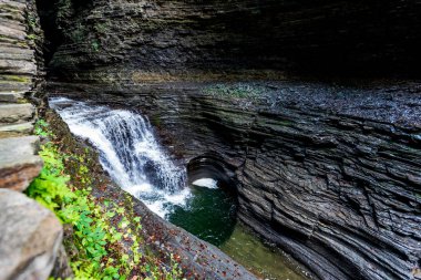 Watkins glen Devlet Parkı
