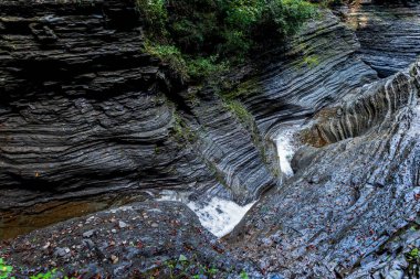 Watkins glen Devlet Parkı