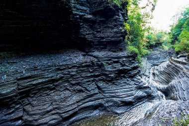 Watkins glen Devlet Parkı