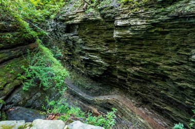 Watkins glen Devlet Parkı