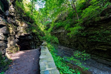 Watkins glen Devlet Parkı