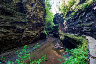 Watkins glen Devlet Parkı
