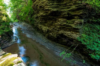 Watkins glen Devlet Parkı