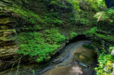 Watkins glen Devlet Parkı