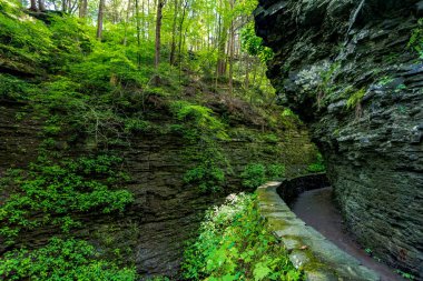 Watkins glen Devlet Parkı