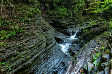 Watkins glen Devlet Parkı