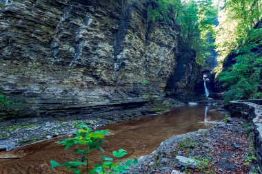 Watkins glen Devlet Parkı