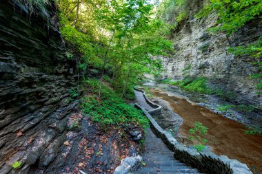 Watkins glen Devlet Parkı