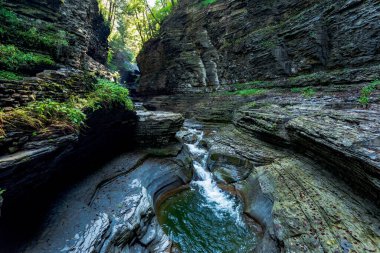 Watkins glen Devlet Parkı