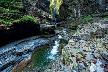 Watkins glen Devlet Parkı
