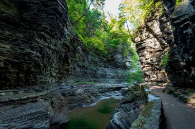 Watkins glen Devlet Parkı
