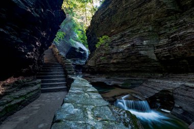 Watkins glen Devlet Parkı