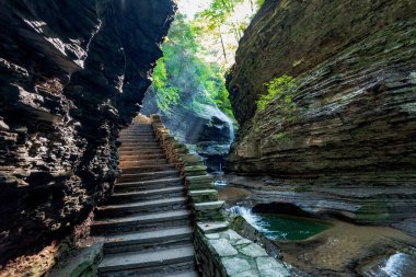 Watkins glen Devlet Parkı