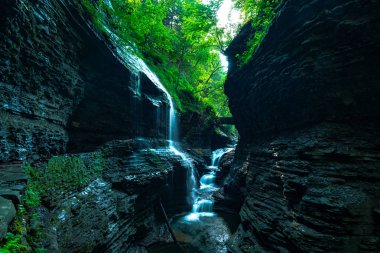 Watkins glen Devlet Parkı
