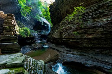 Watkins glen Devlet Parkı