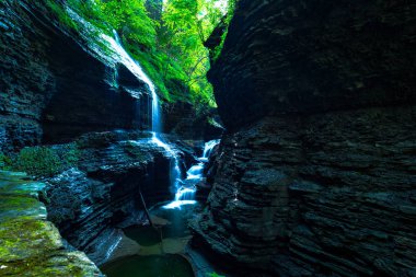Watkins glen Devlet Parkı