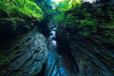 Watkins glen Devlet Parkı