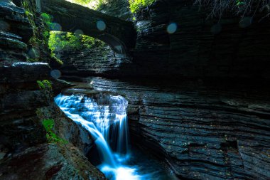 Watkins glen Devlet Parkı