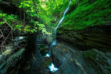 Watkins glen Devlet Parkı