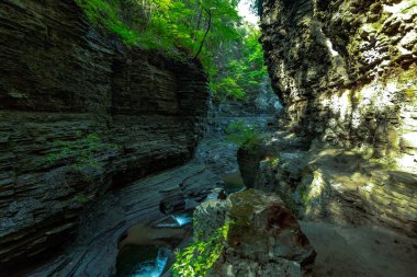 Watkins glen Devlet Parkı