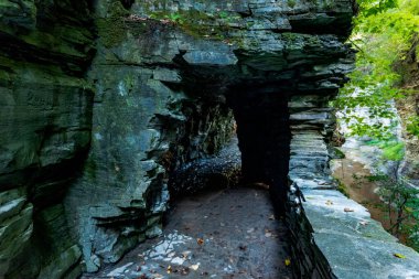 Watkins glen Devlet Parkı