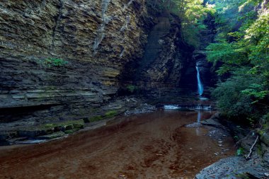 Watkins glen Devlet Parkı