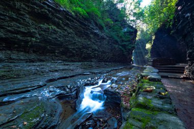 Watkins glen Devlet Parkı