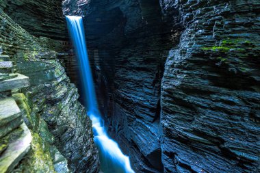 Watkins glen Devlet Parkı