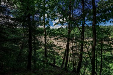 taughannock Şelalesi