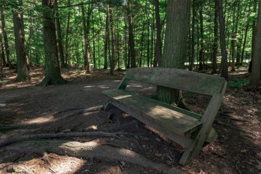 Taughannock Şelalesi: Güney Rim Yolu