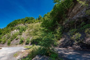 Taughannock Şelalesi: Gorge Yolu